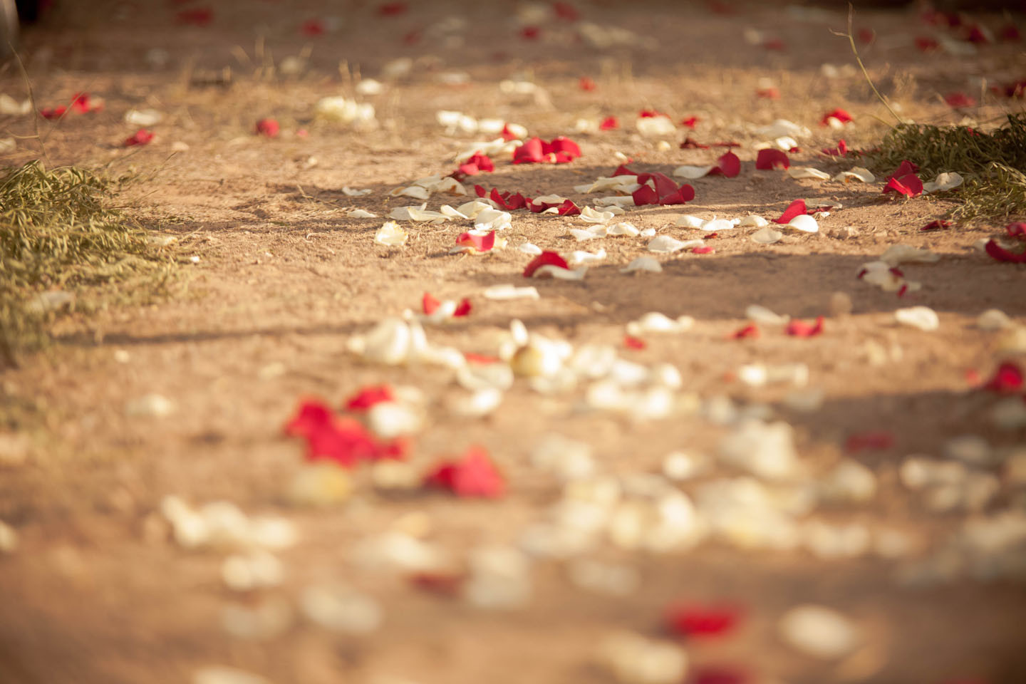 0058_Raul_Fuster_Fotografo_04072015