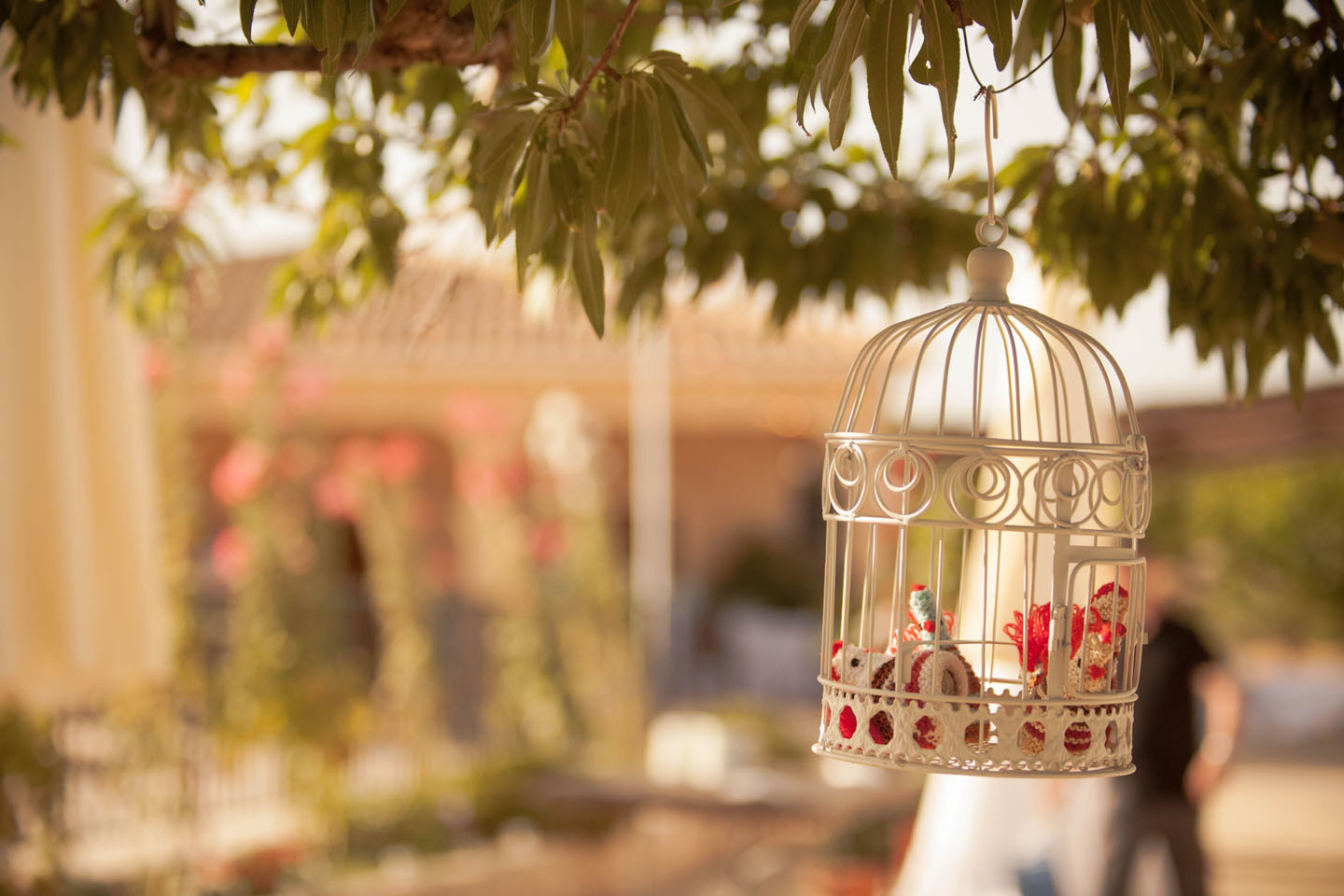 0062_Raul_Fuster_Fotografo_04072015