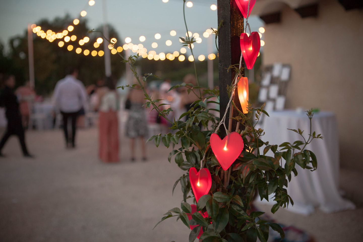 1490_Raul_Fuster_Fotografo_04072015