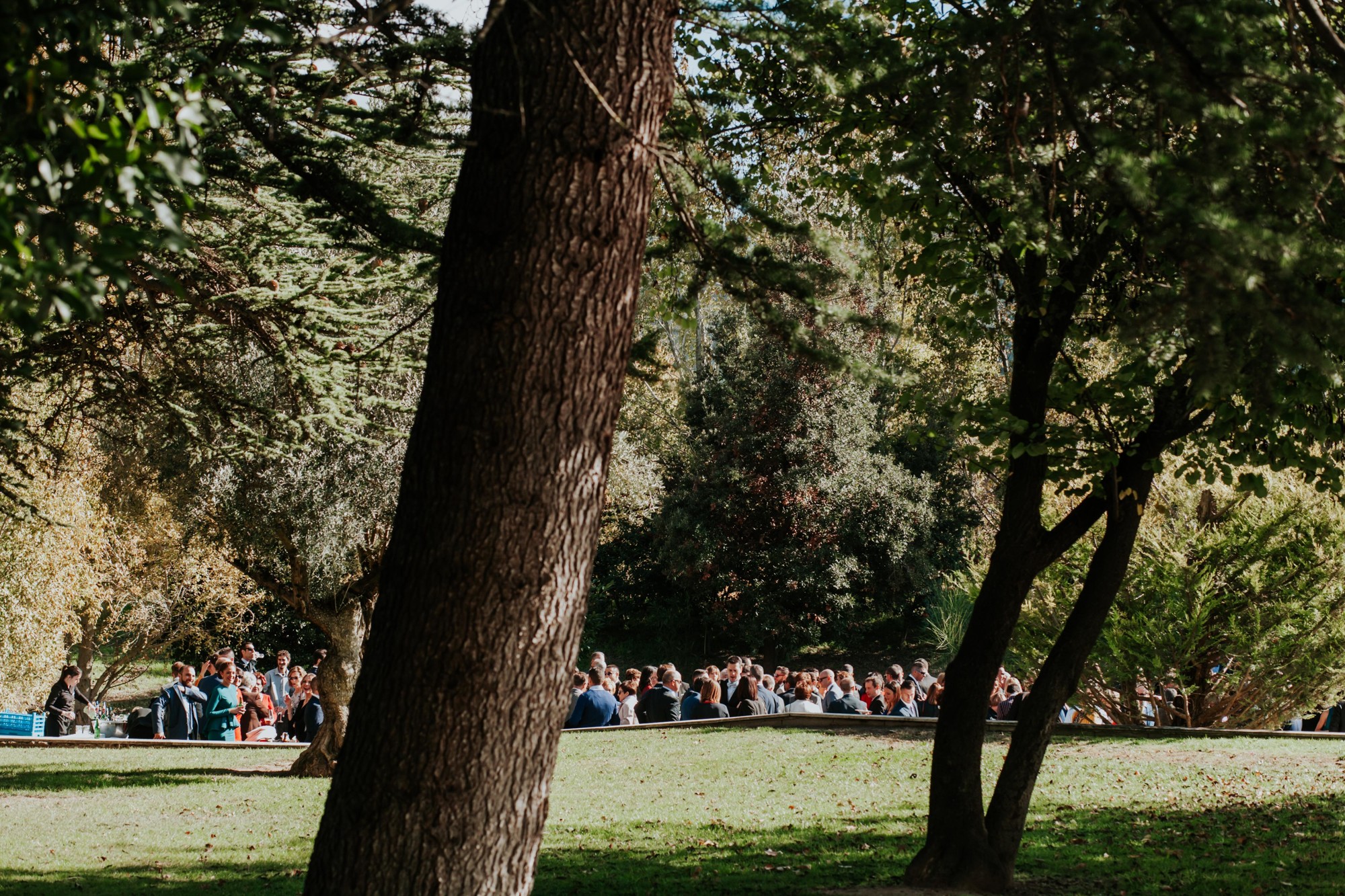 1133-1193Boda-JuanPablo y Maite--Raúl-Fuster-Fotografia-Castalla_24-11-2017
