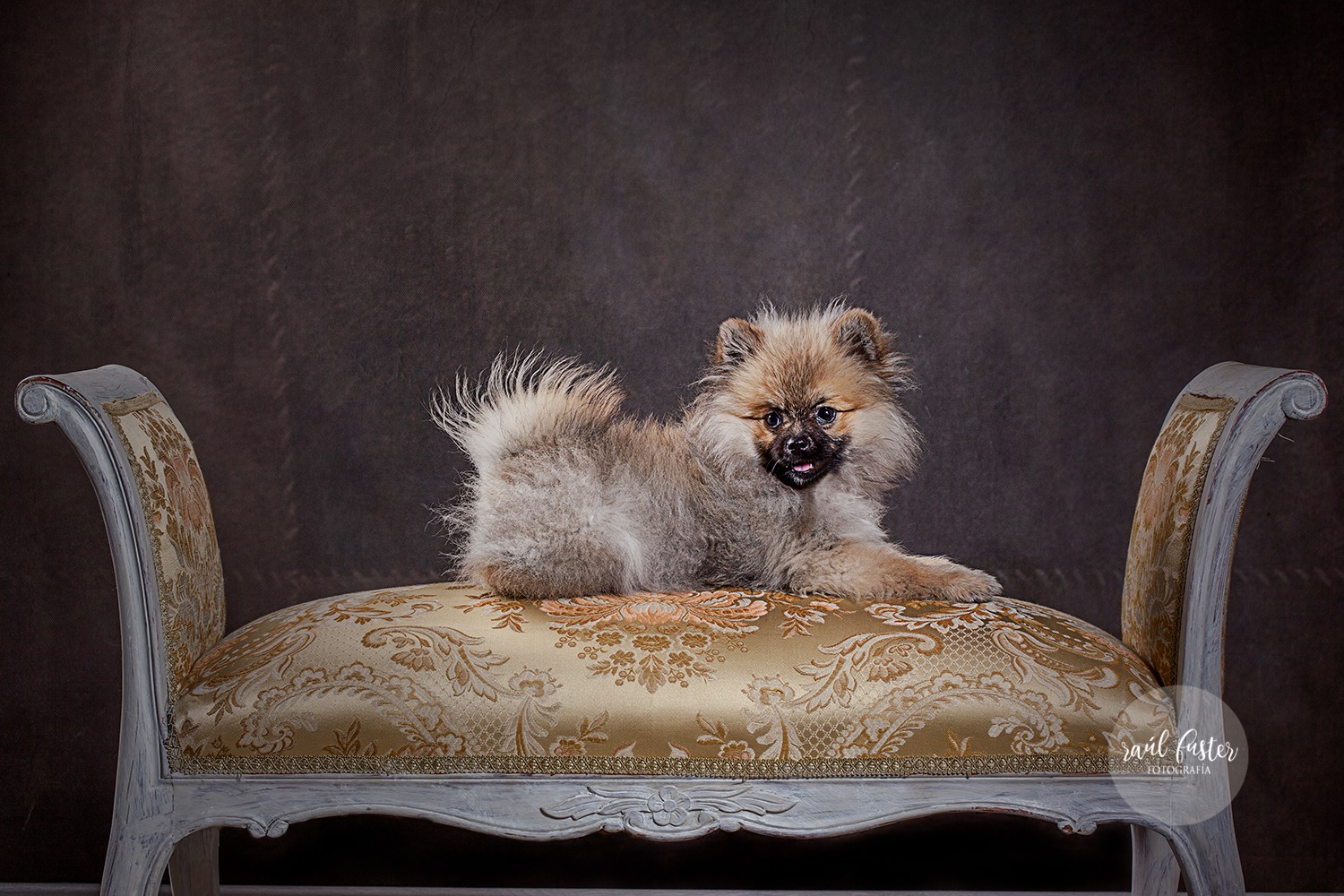 03-1252Raul Fuster-Castallla Fotografia 12-05-2020