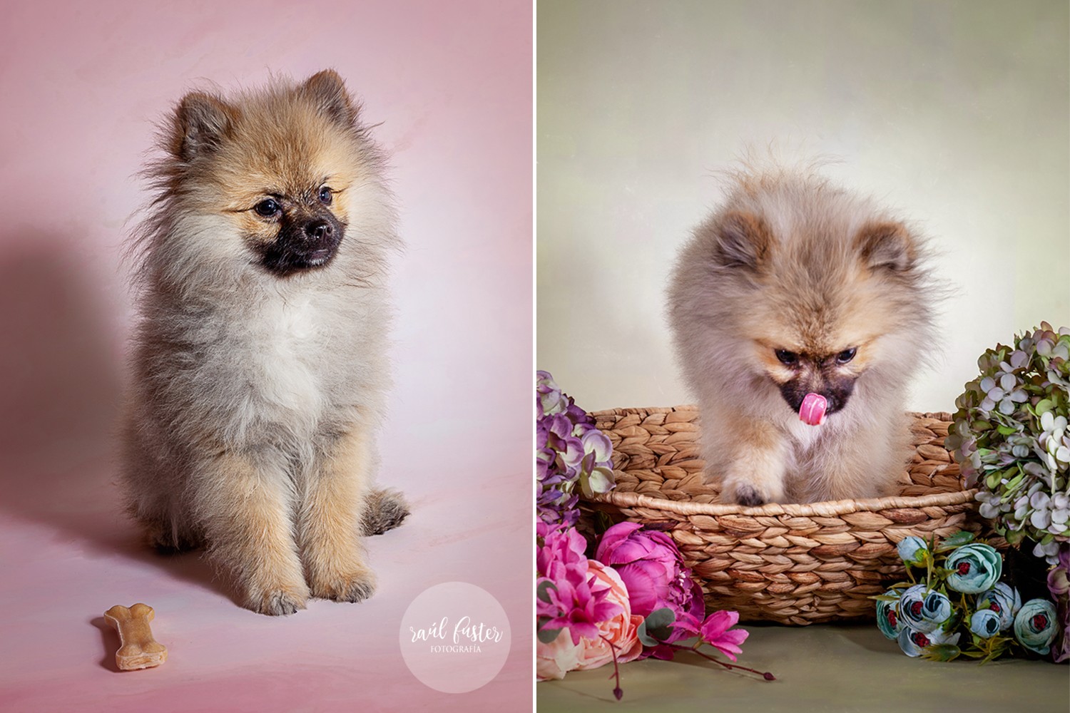 04-1215Raul Fuster-Castallla Fotografia 12-05-2020 copia