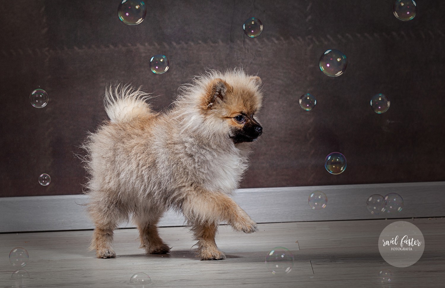 05-1261Raul Fuster-Castallla Fotografia 12-05-2020