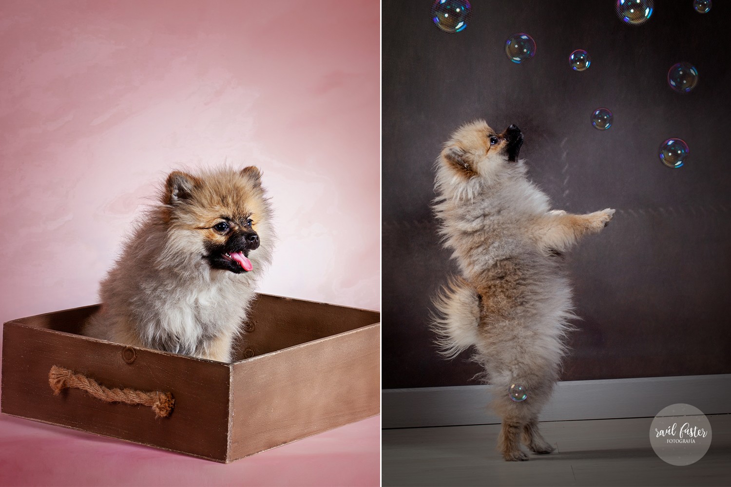 06-1263Raul Fuster-Castallla Fotografia 12-05-2020