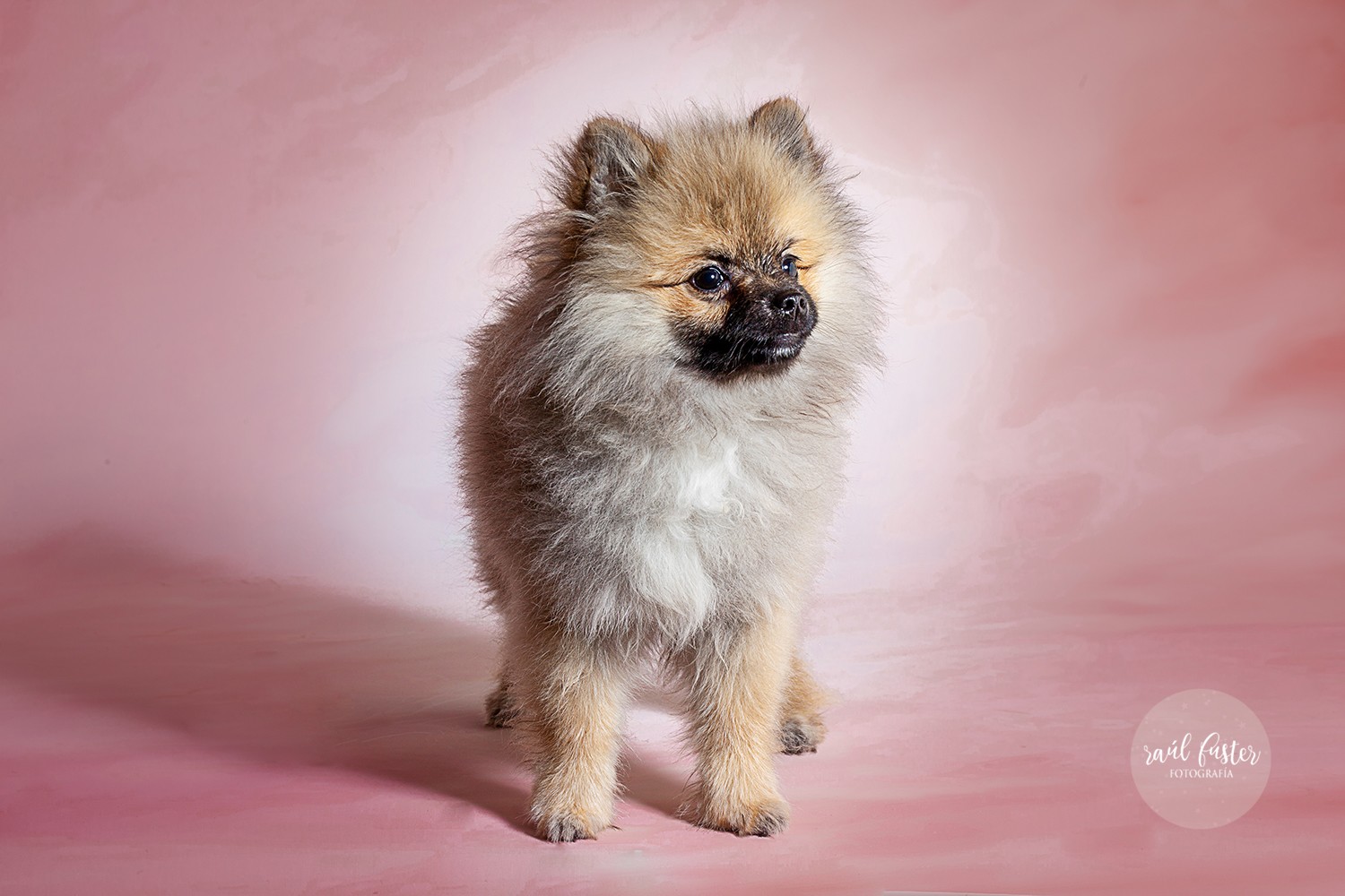 07-1215Raul Fuster-Castallla Fotografia 12-05-2020