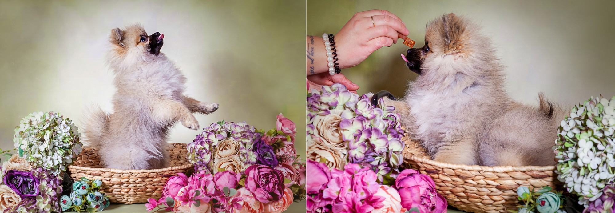 08-1240Raul Fuster-Castallla Fotografia 12-05-2020 copia