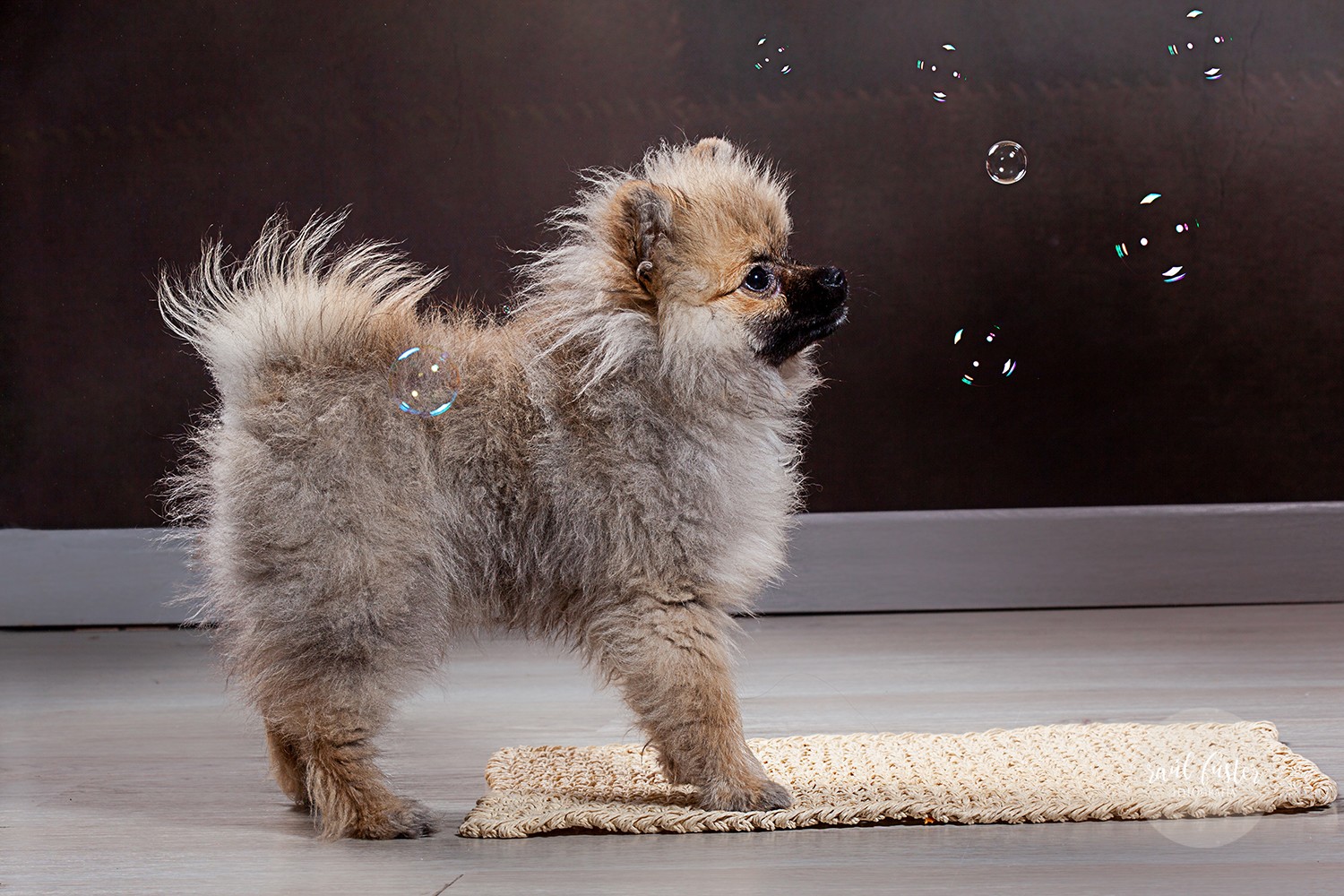 09-1255Raul Fuster-Castallla Fotografia 12-05-2020