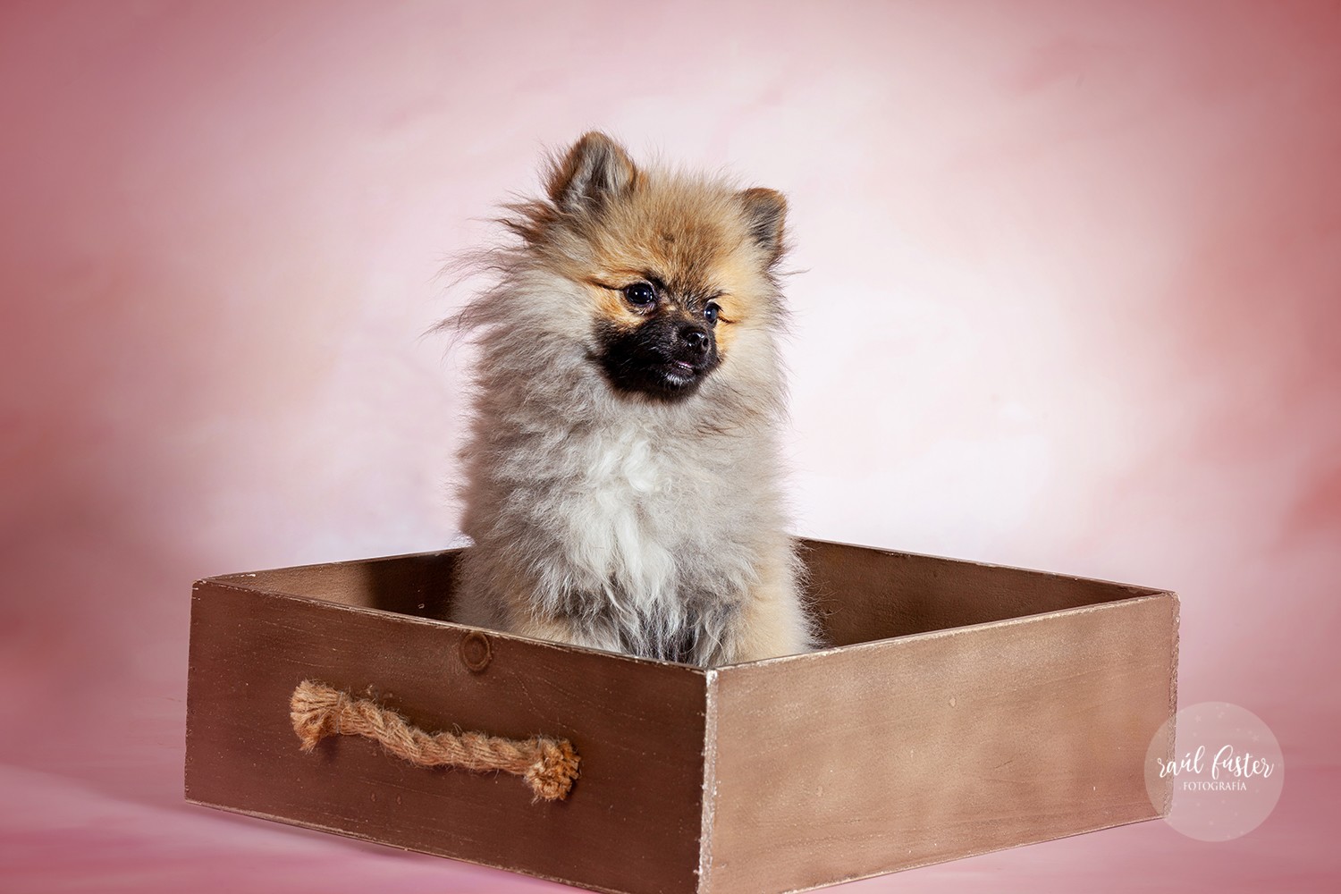 10-1220Raul Fuster-Castallla Fotografia 12-05-2020 copia