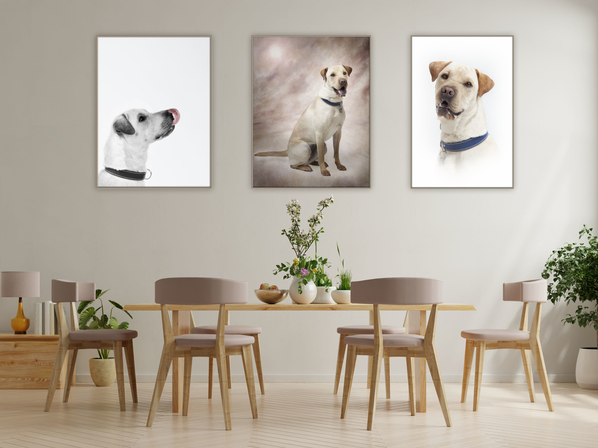 Raúl Fuster - raul-fuster-fotografia-castalla-pets-mascotas-decoracion-modern-dining-room-interior-design-with-white-wall-1.jpg