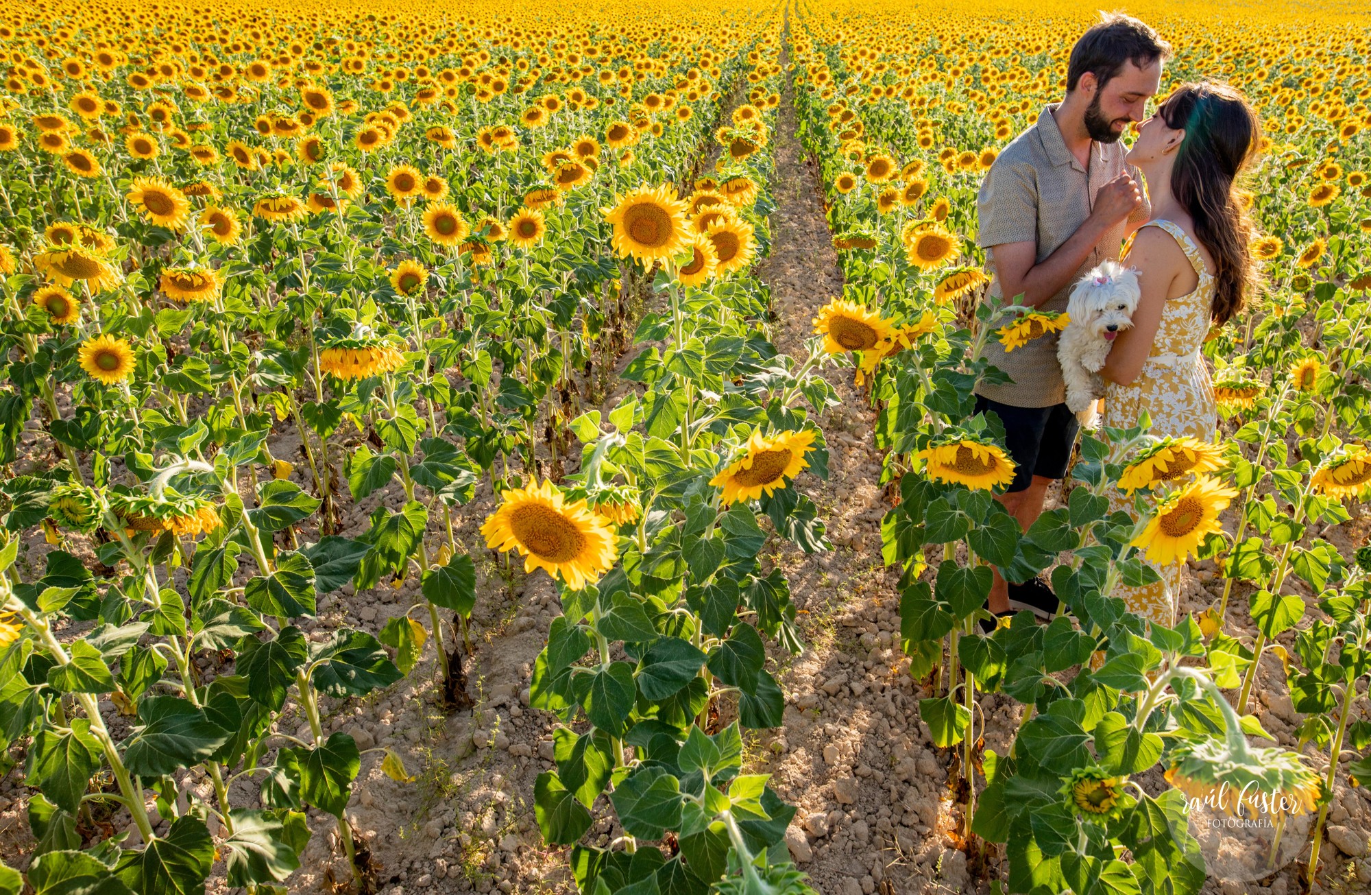 0622Raul Fuster-Castalla Fotografía 05-08-2021