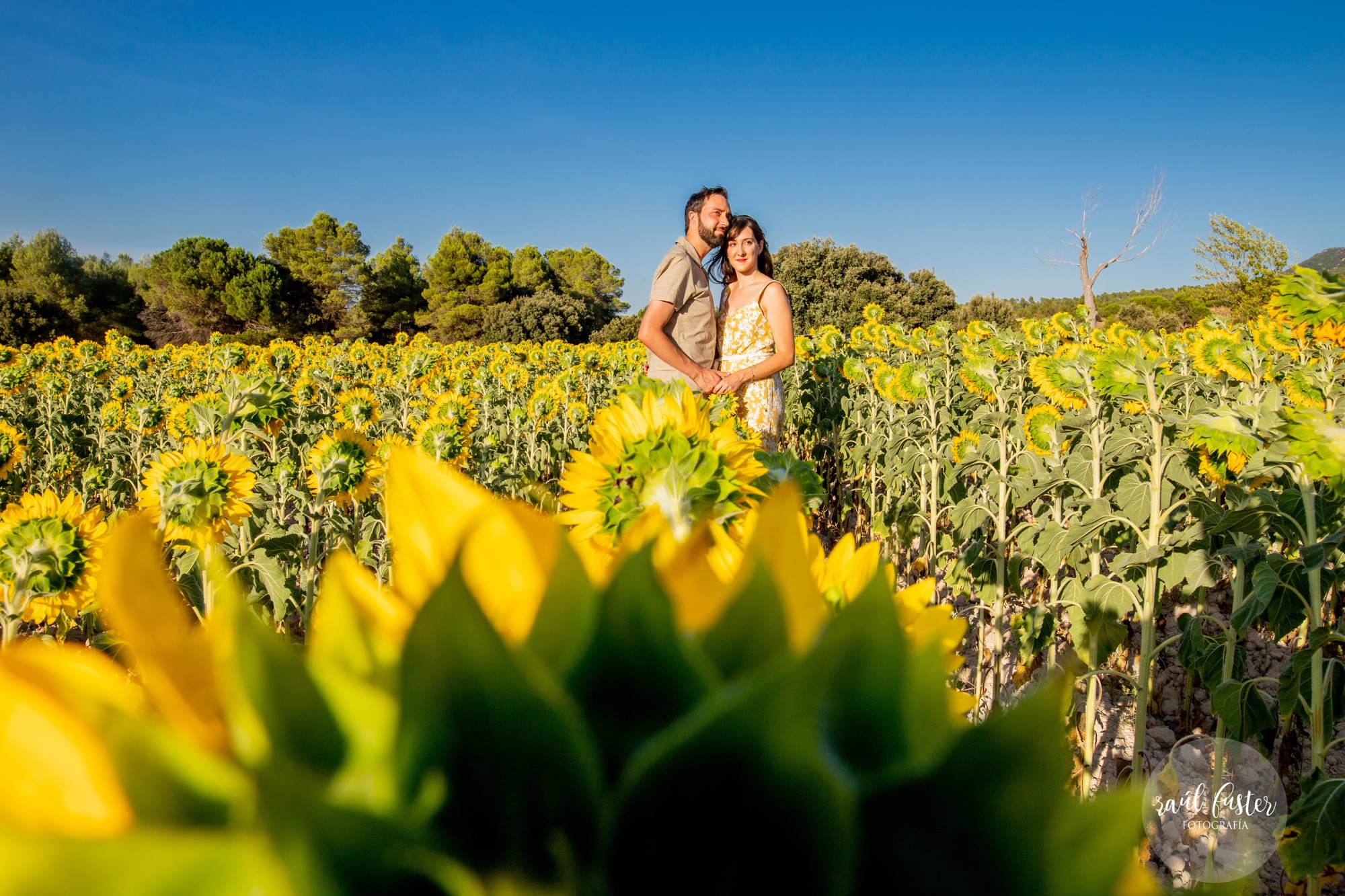 0630Raul Fuster-Castalla Fotografía 05-08-2021