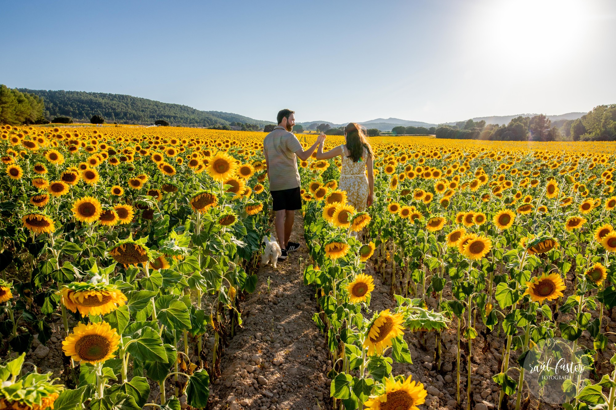 0647Raul Fuster-Castalla Fotografía 05-08-2021