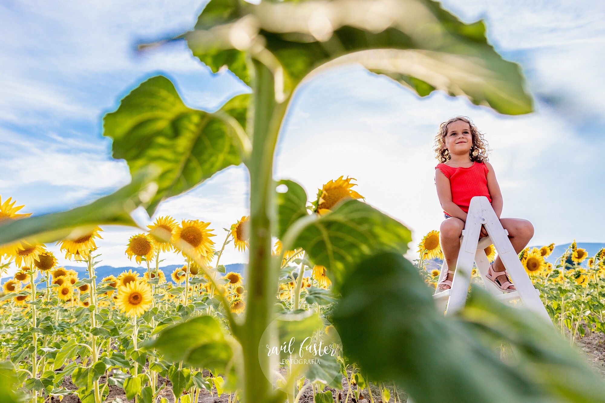 0337_Raúl Fuster Castalla_01-08-2022