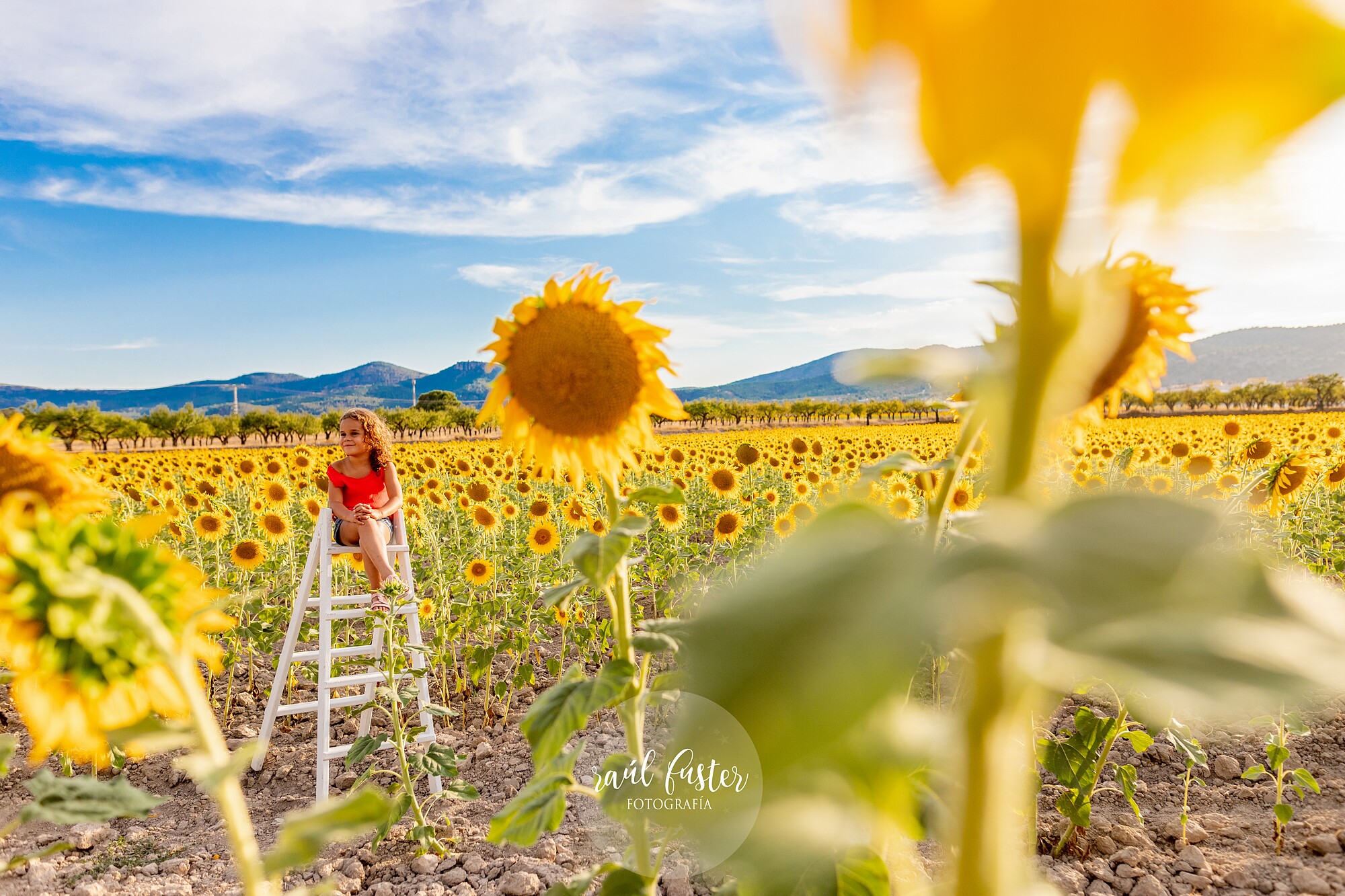 0391_Raúl Fuster Castalla_01-08-2022